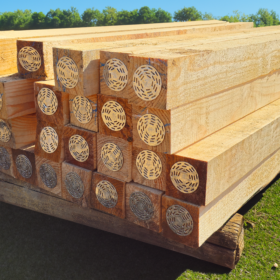 Square Timber Beams for various applications and aesthetic appeal.